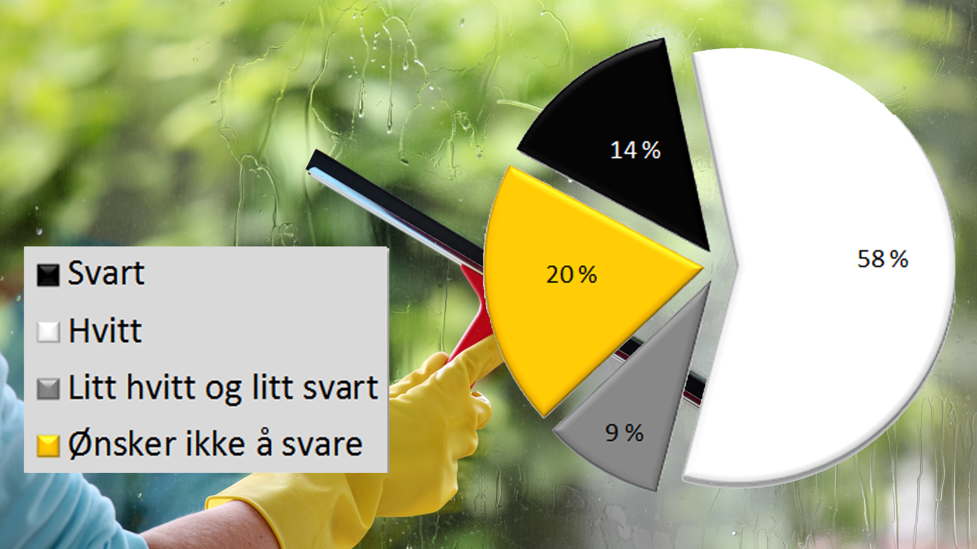 43 PROSENT UTENFOR LOVEN: I en spørreundersøkelse medga 14 prosent av husholdningene som leier inn renholdstjenester at betalingen skjer svart, 9 prosent krysser gråsonen. Fafo-forskerne regner også med at de som ikke ville svare på spørsmålet neppe har sitt på det tørre. 